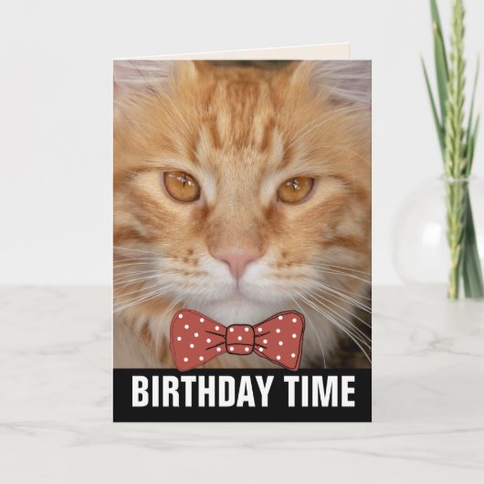 GINGER RED CAT BIRTHDAY CARDS KAART (Voorkant)