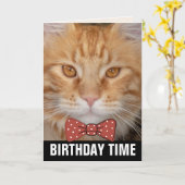 GINGER RED CAT BIRTHDAY CARDS KAART (Gele Bloem)