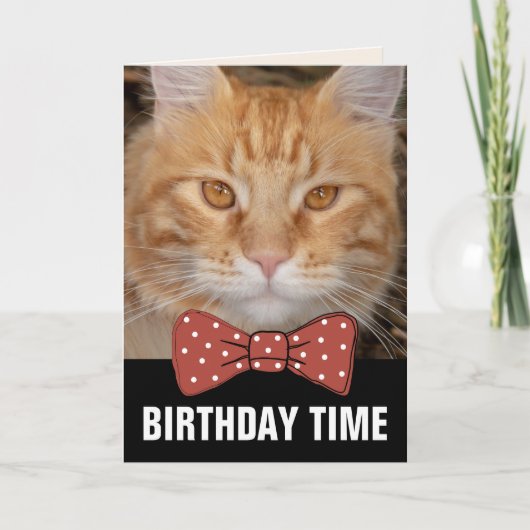 GINGER RED CAT BIRTHDAY CARDS KAART (Voorkant)