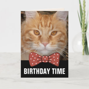 GINGER RED CAT BIRTHDAY CARDS KAART