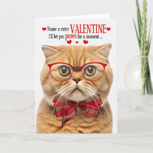 Ginger Schotse Fold Cat Valentijn Feline Humor Feestdagen Kaart