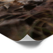 Ginger Shorthair Cat Fall Leaves Portret Poster (Hoek)