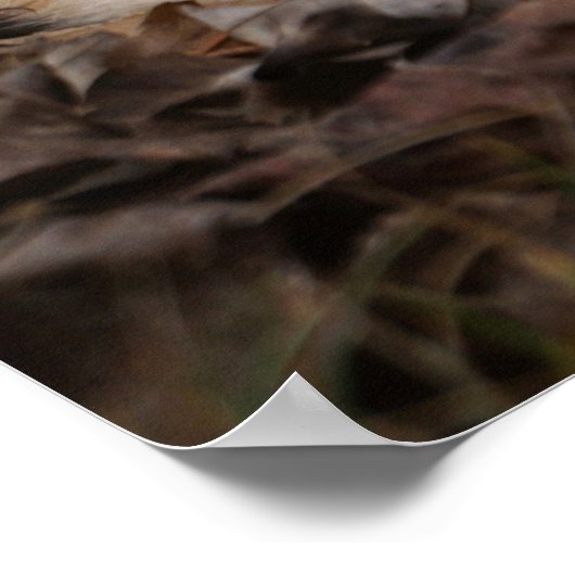 Ginger Shorthair Cat Fall Leaves Portret Poster (Hoek)