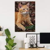 Ginger Shorthair Cat Fall Leaves Portret Poster (Thuiskantoor)