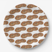 Ginger Snaps Gingersnap Biscuit Ginger Nut Cookies Papieren Bordje (Voorkant)