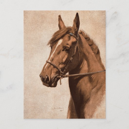 Ginger Sorrel Horse Black Beauty book Kemp-Welch Briefkaart (Voorkant)