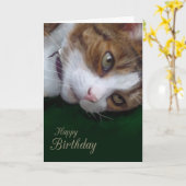 Ginger Tabby Cat Happy Birthday Kaart (Gele Bloem)