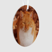 Ginger Tabby Cat Holiday kerstversiering Ornament (voorkant)
