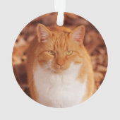 Ginger Tabby Cat Holiday kerstversiering Ornament (achterkant)