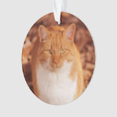 Ginger Tabby Cat Holiday kerstversiering Ornament (voorkant)