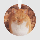 Ginger Tabby Cat Holiday kerstversiering Ornament (voorkant)