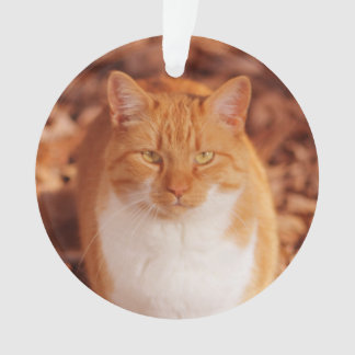 Ginger Tabby Cat Holiday kerstversiering Ornament