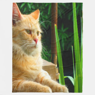Ginger Tabby Cat Meditation Fleece Deken