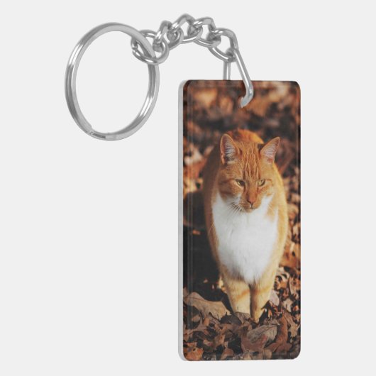 Ginger Tabby Cat Sleutelhanger (Voorkant Links)