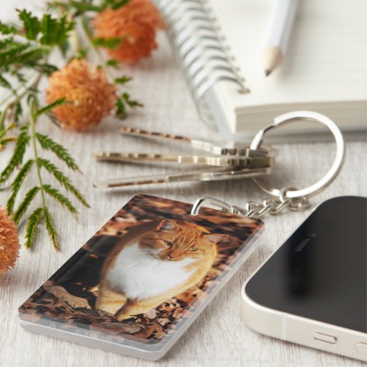 Ginger Tabby Cat Sleutelhanger (Voorkant Rechts)