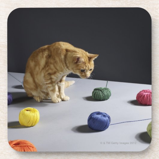 Ginger tabby kat op tafel drankjes onderzetter (Voorkant)