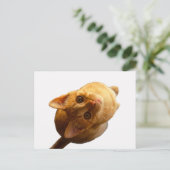 Ginger Tabby Kitten Briefkaart (Staand voorkant)