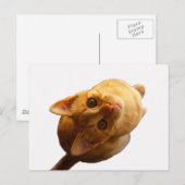 Ginger Tabby Kitten Briefkaart (Voorkant / Achterkant)
