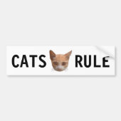 Ginger Tabby Kitty Cat Bumpersticker (Voorkant)