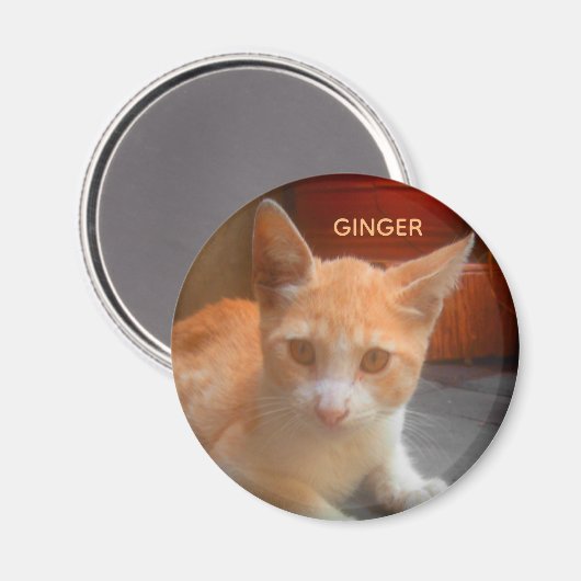 Ginger Tabby Kitty Cat Magneet (Voorkant / Achterkant)