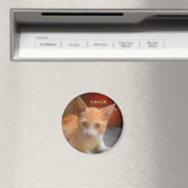 Ginger Tabby Kitty Cat Magneet (Insitu (Vaatwasser))