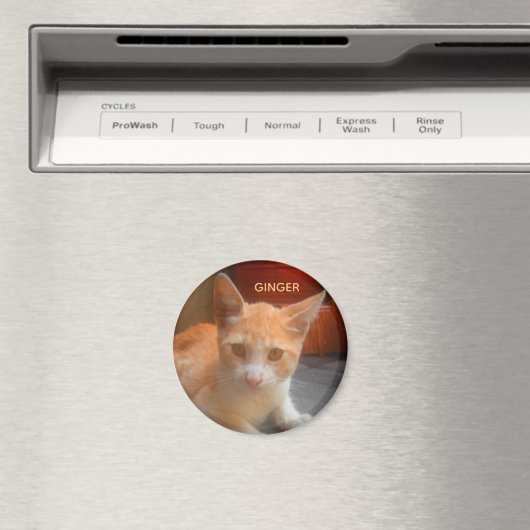 Ginger Tabby Kitty Cat Magneet (Insitu (Vaatwasser))