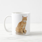 Ginger Tabby Koffiemok (Links)