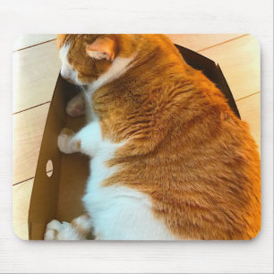 Ginger-tablet in kartonnen doos muismat