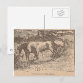 Ginger vertelde ons deze dingen briefkaart (Voorkant / Achterkant)