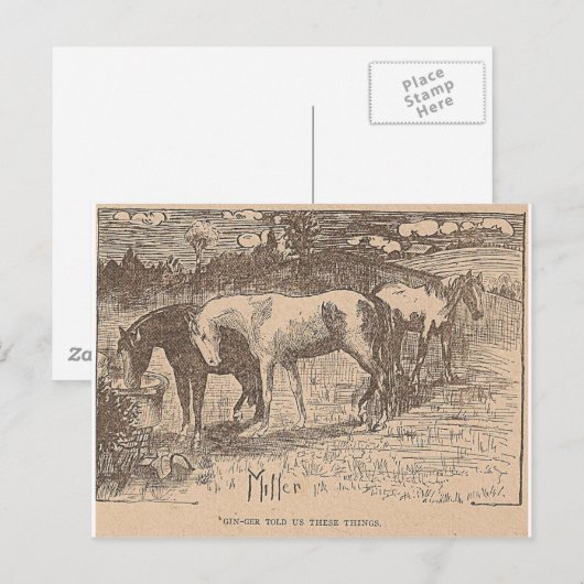 Ginger vertelde ons deze dingen briefkaart (Voorkant / Achterkant)