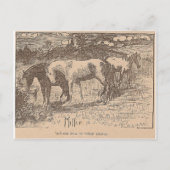 Ginger vertelde ons deze dingen briefkaart (Voorkant)