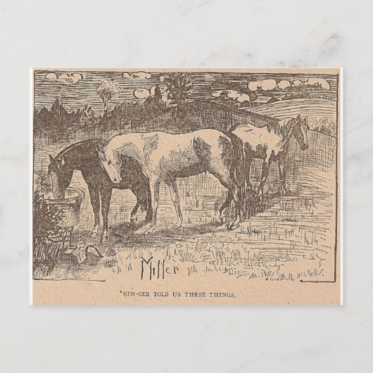 Ginger vertelde ons deze dingen briefkaart (Voorkant)