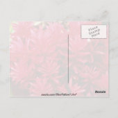 Gingerbloemen, Puerto Rico-bloemen Briefkaart (Achterkant)