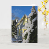 Gingerbrood en Wintersneeuw - Wijntuin van Martha Kaart (Gele Bloem)