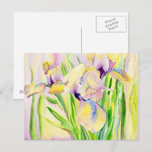 Gingerbrood Iris Briefkaarten (Voorkant / Achterkant)