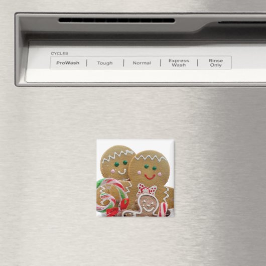 Gingerbrood Kerstmis Magneet (Insitu (Vaatwasser))