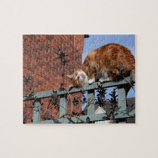 Gingerenkat voor games legpuzzel (Horizontaal)