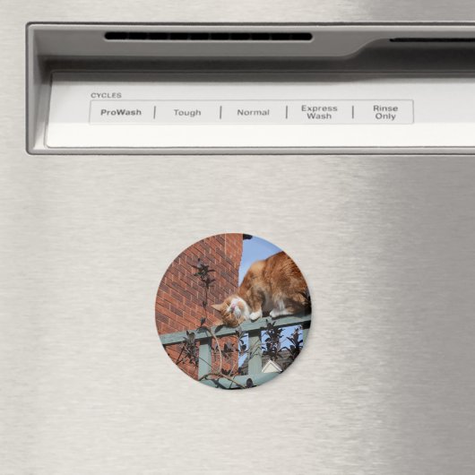 Gingerenkat voor games magneet (Insitu (Vaatwasser))