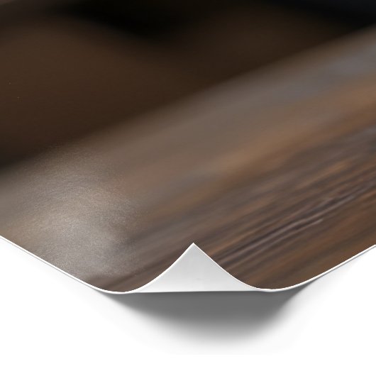 Gingerenkat voor games perfect poster (Hoek)