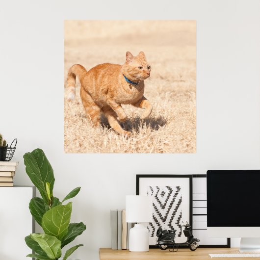 Gingersnelheid Poster (Thuiskantoor)