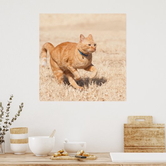 Gingersnelheid Poster (Keuken)