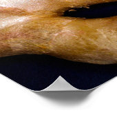 Gingerwortel poster (Hoek)