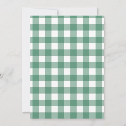 Gingham Check Hondenjongen Baby Shower Uitnodiging (Achterkant)