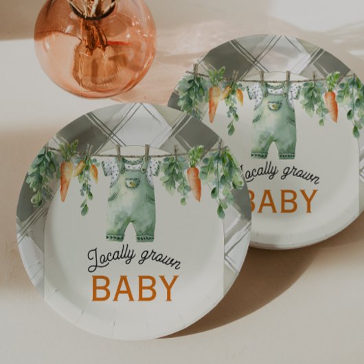 Gingham Clothesline Lokaal geteeld Baby shower Papieren Bordje