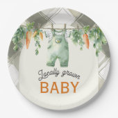 Gingham Clothesline Lokaal geteeld Baby shower Papieren Bordje (Voorkant)