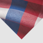 Gingham en Glorie Tissuepapier (Detail)