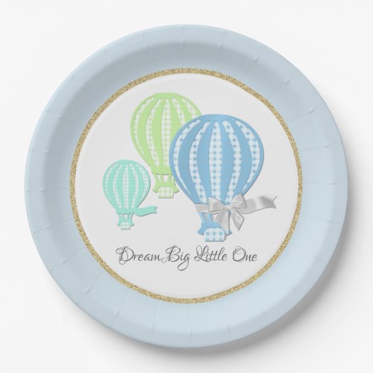 Gingham Hete Luchtballon Baby Blauw Papieren Bordje (Voorkant)