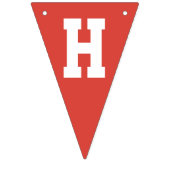 Gingham Kleurrijke Boerderij Schuur Happy Birthday Vlaggetjes (Tweede vlag)