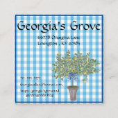 Gingham Lemons Lemon Tree  Vierkante Visitekaartje (Voorkant)
