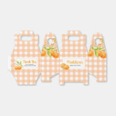 Gingham Orange Baby Shower Bedankdoosjes (Uitgevouwen)